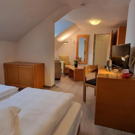 Hotell Magdalenenhof Inklusive Meinecardplus Willingen (Upland)