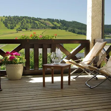 Hotell Magdalenenhof Inklusive Meinecardplus Willingen (Upland)